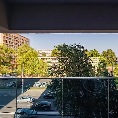 Portocaliu Punct *
